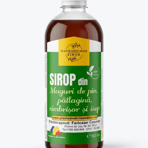 Siropuri din Muguri de pin si patlagina cimbrisor si isop